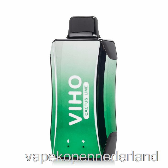 Elektronische Sigaret Vape Viho Turbo 10000 Wegwerpcactuslimoen